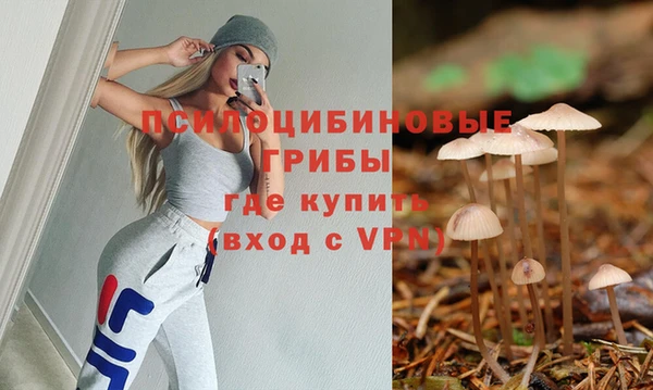 мескалин Инсар