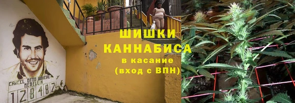 амф Инта