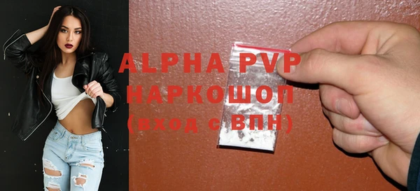 амф Инта