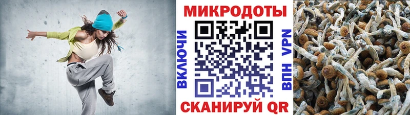 Купить где  Отрадное  Галлюциногенные грибы Psilocybine cubensis 